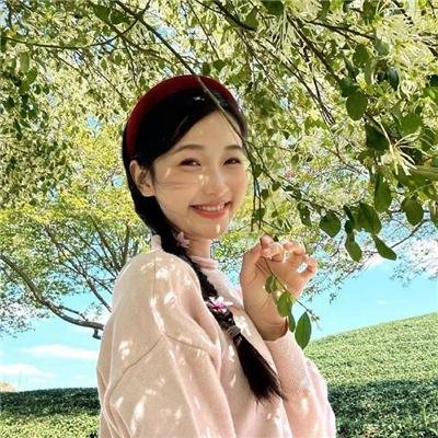 边塞丽春花 封面